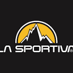 LSA